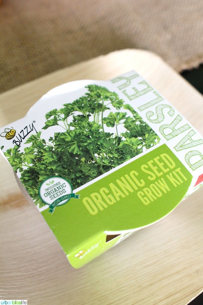 Earth Day Party Favors - Herb Seeds Kit
