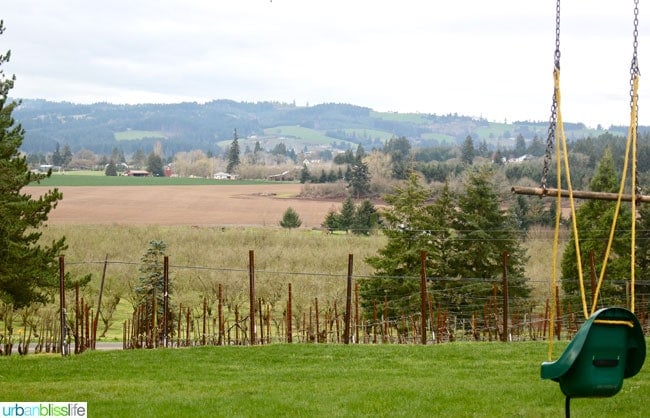 Blizzard Wines Oregon winery