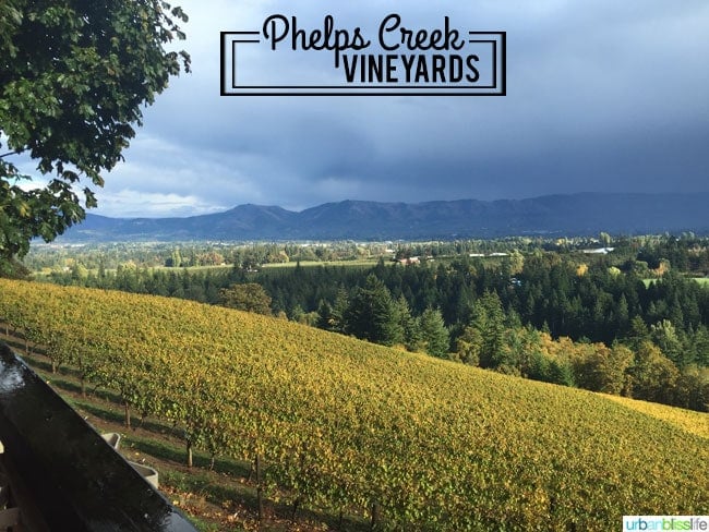 Oregon wine country: Phelps Creek Vineyards