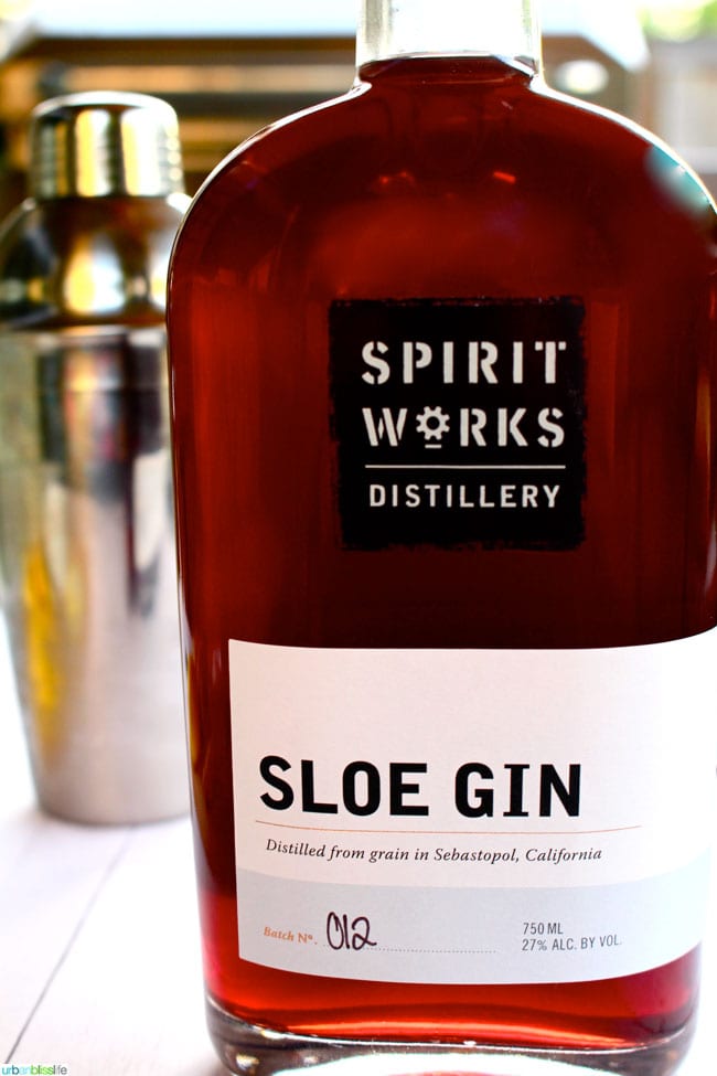SpiritWorks Distillery Sloe Gin