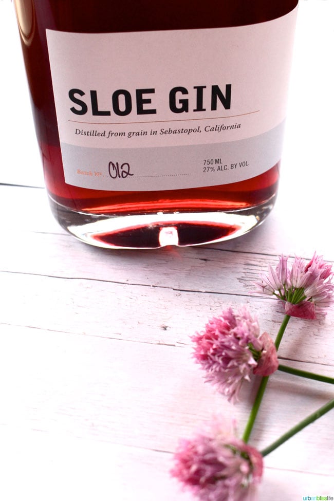 SpiritWorks Distillery Sloe Gin