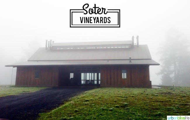 Oregon wine country: Soter Vineyards