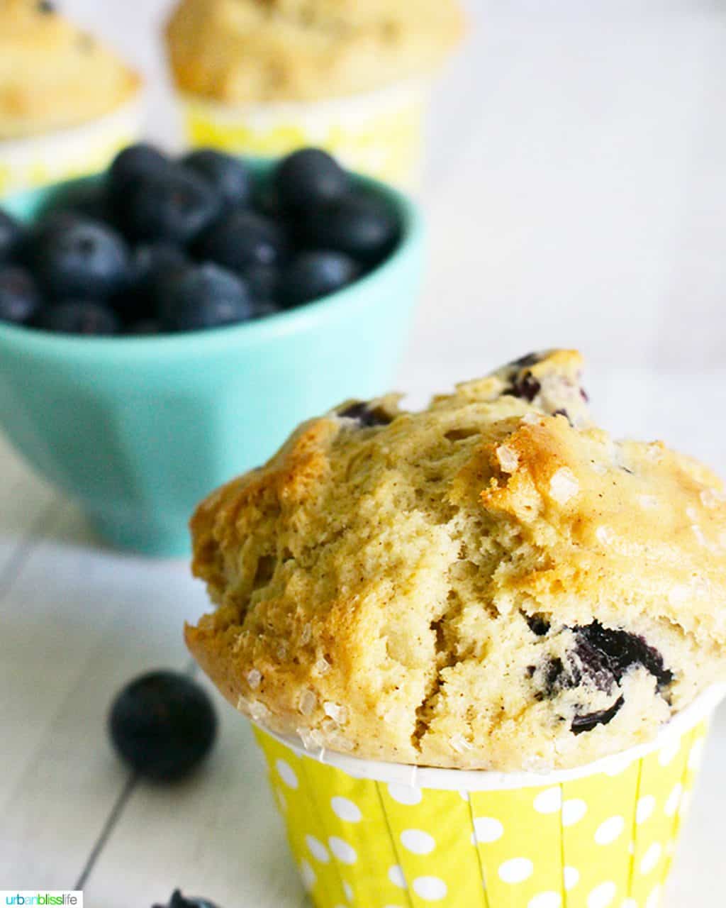 lemon blueberry muffins that are dairy-free