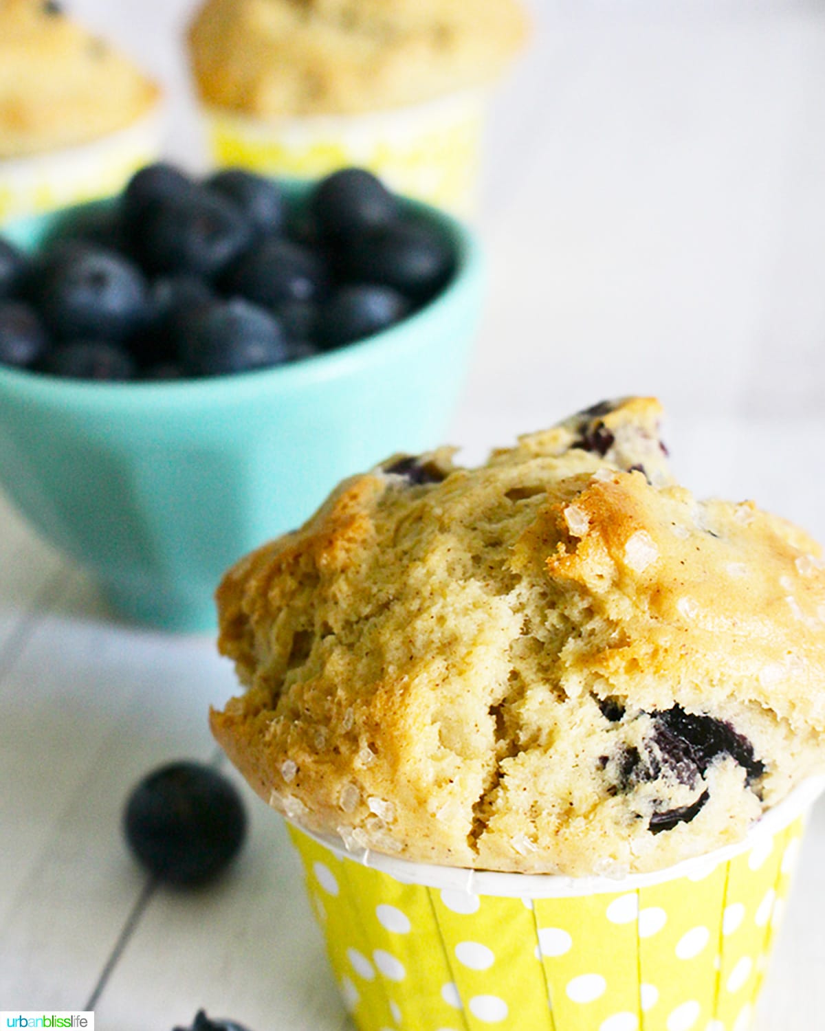 Dairy Free Blueberry Muffins (No Eggs!) - The Urben Life