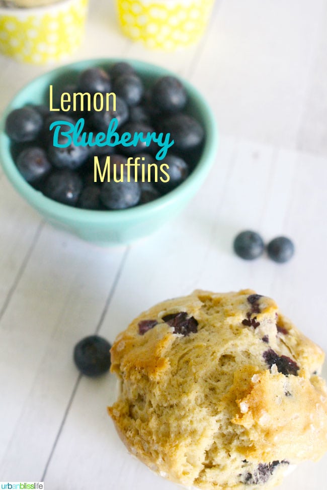 Lemon Blueberry Muffins