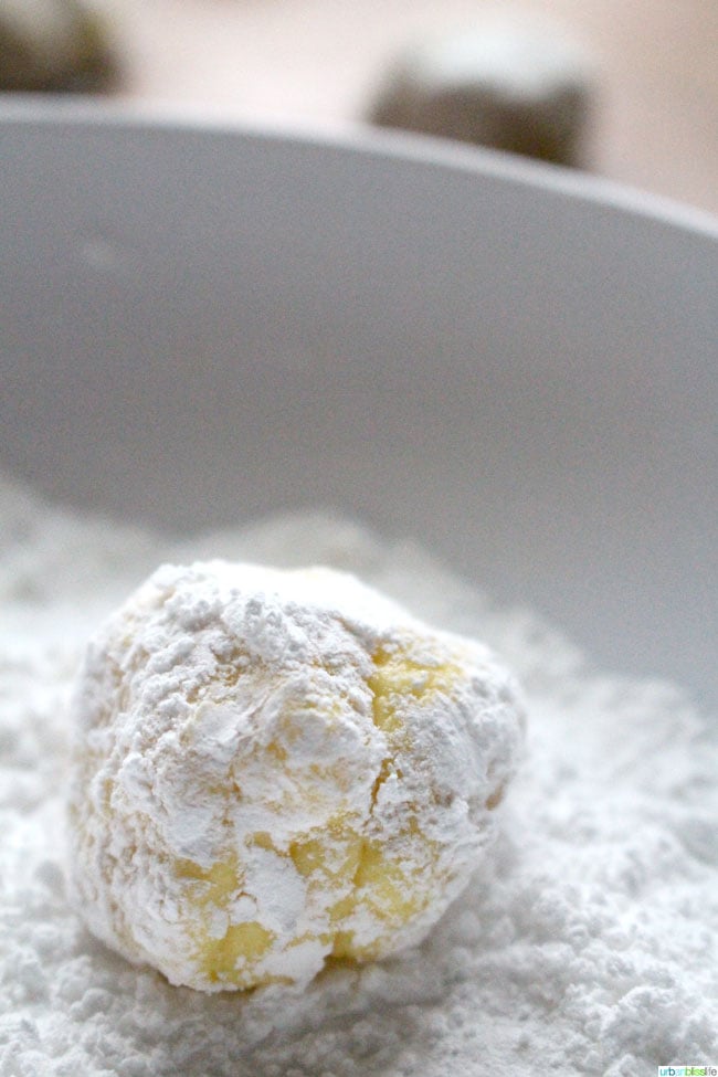 Lemon Crinkle Cookie dough