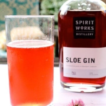 Sloe Gin Fizz cocktail recipe