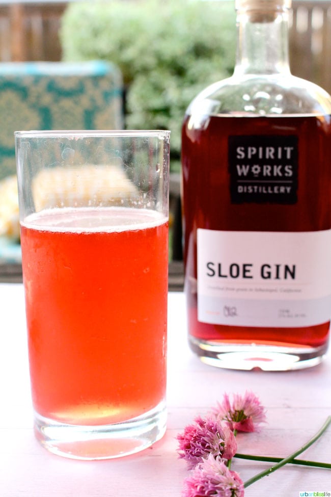 Sloe Gin Fizz cocktail recipe