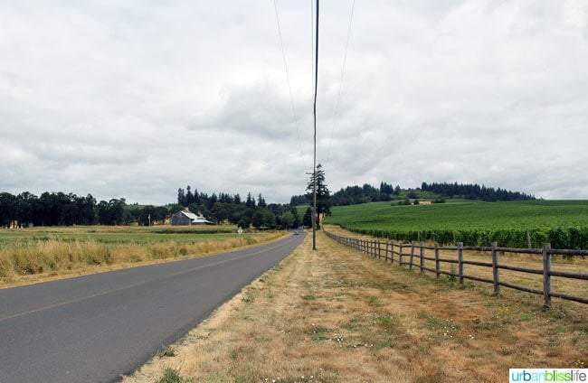 country lane