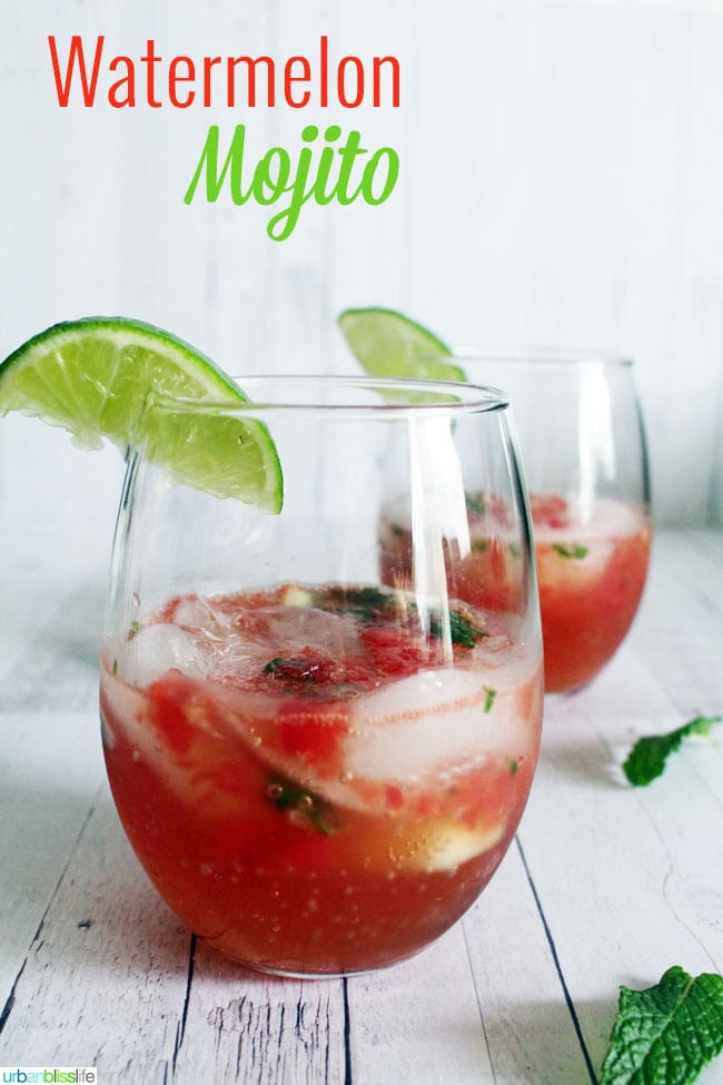 Easy Mojito Recipe (Made with 5-Ingredients!!!) - Platings + Pairings