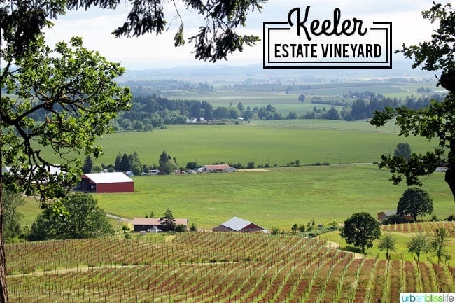 Keeler Estate Vineyards winery on UrbanBlissLife.com