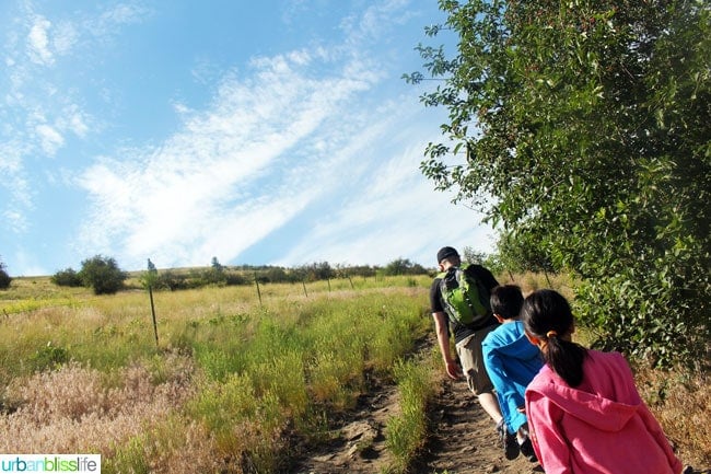 Family-Friendly Activities in Missoula, Montana: Hike the M Trail, on UrbanBlissLife.com