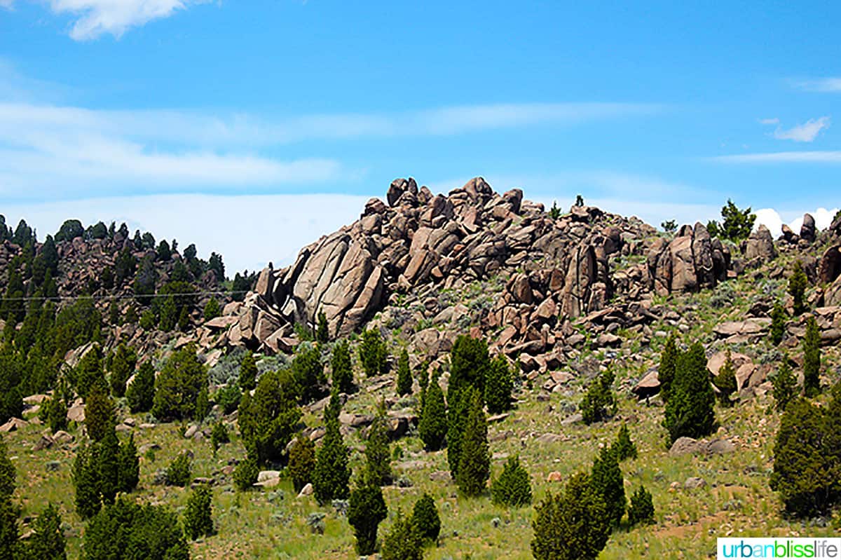 big blue skies above a jagged rock formation and green space dotted with trees.