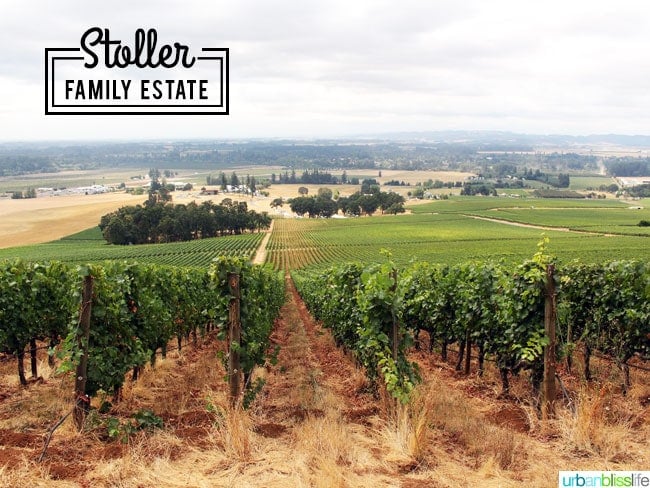 Stoller Winery