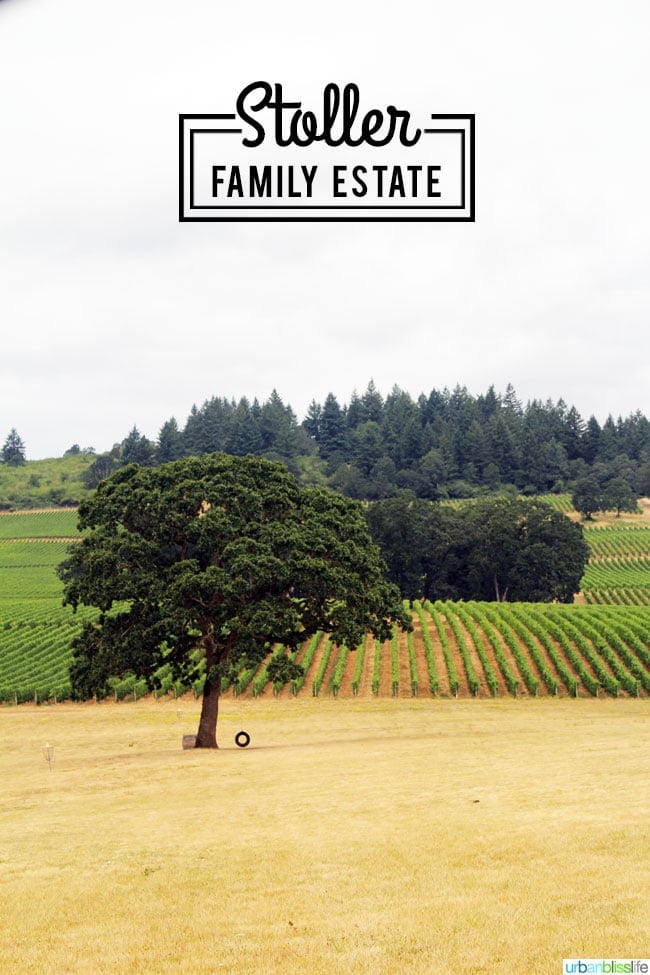 Stoller Family Estate Vineyard & Winery on UrbanBlissLife.com