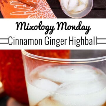 Cinnamon Ginger Highball fall cocktail recipe on UrbanBlissLife.com