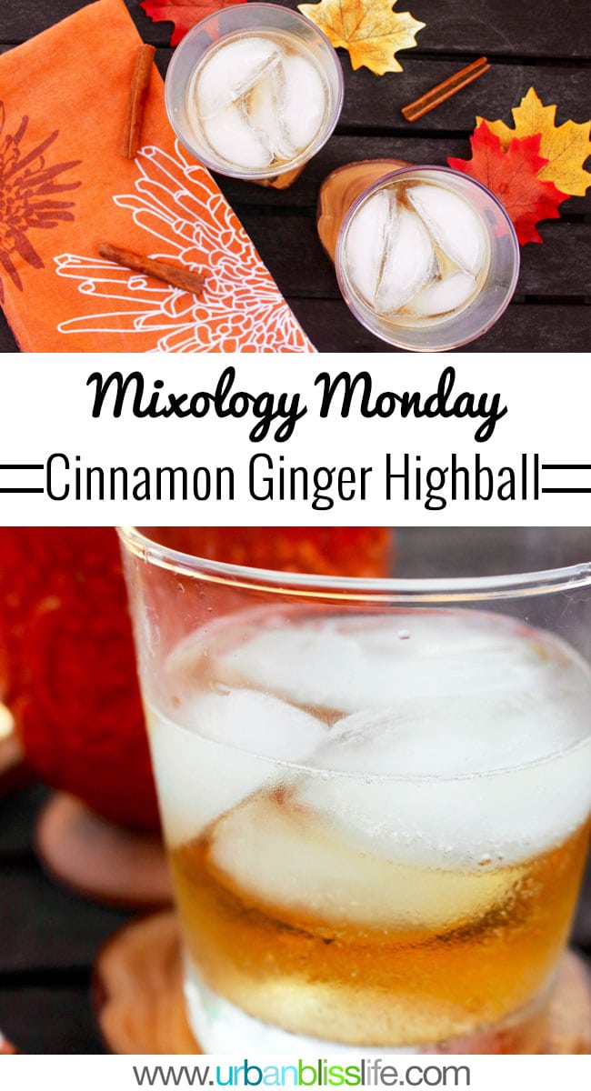 Cinnamon Ginger Highball fall cocktail recipe on UrbanBlissLife.com