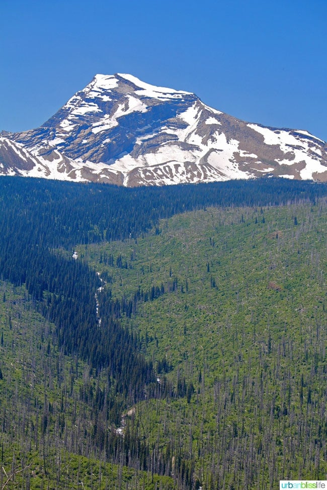 Visiting Glacier National Park in Montana