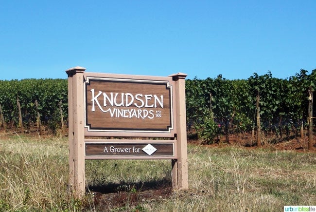 Knudsen Vineyards