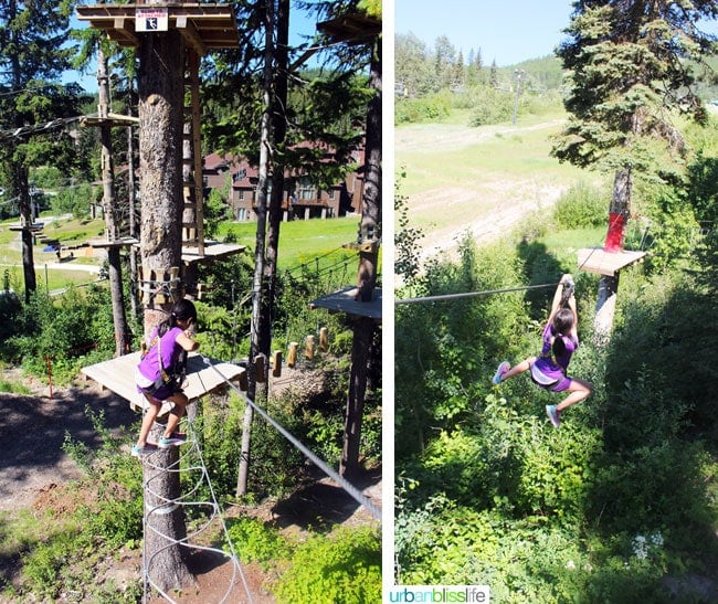 Whitefish Mountain Resort aerial park