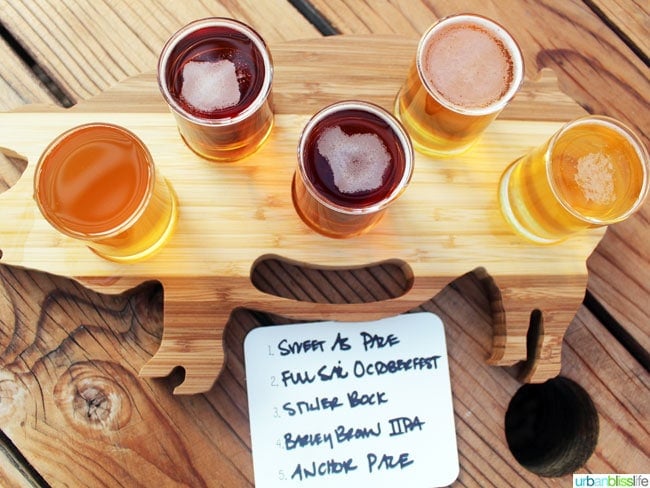 Pine Shed Ribs beer sampler