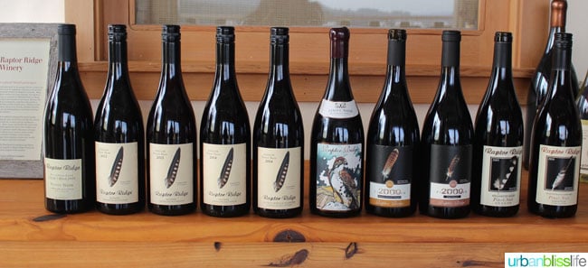 Raptor Ridge Winery Pinot Noir - Oregon Wine Country - UrbanBlissLife.com