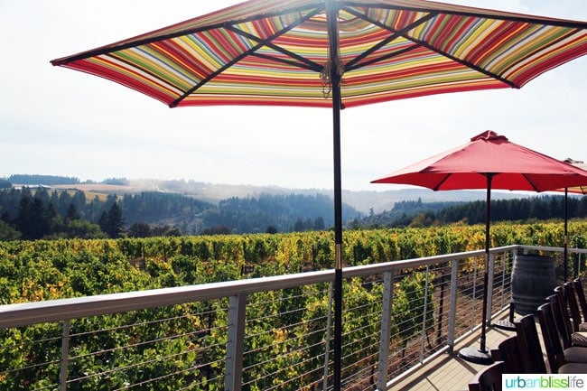 Raptor Ridge Winery - Oregon Wine Country - UrbanBlissLife.com