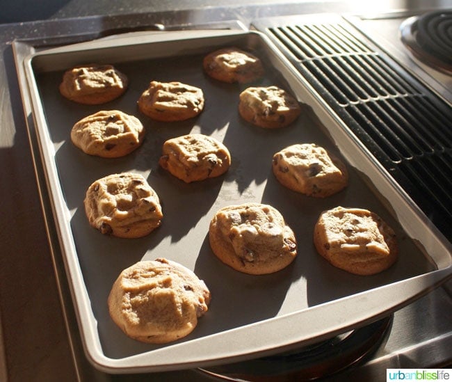 chocolate chip cookies