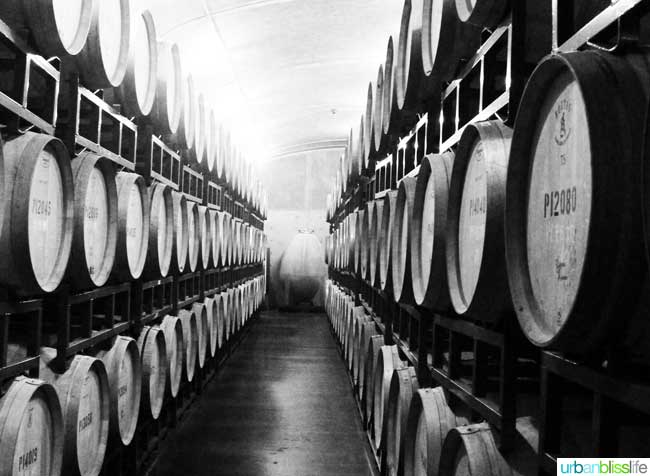 wine barrels