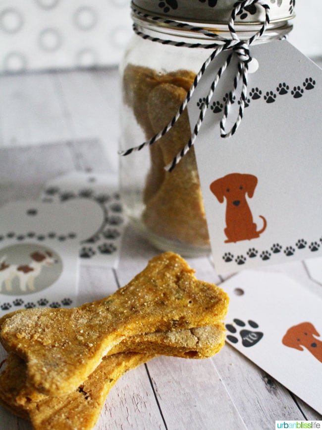 Peanut Butter Pumpkin Grain Free Dog Treats recipe on UrbanBlissLife.com