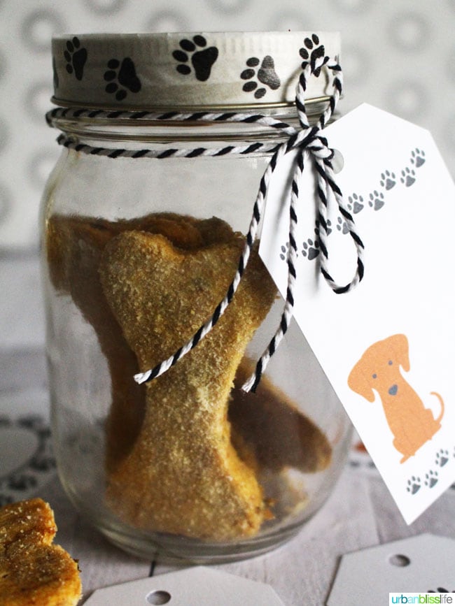 DIY Dog Treat Jar - Upstate Ramblings