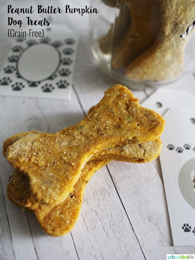 Peanut Butter Pumpkin Grain Free Dog Treats recipe on UrbanBlissLife.com