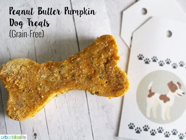 Grain Free Peanut Butter Pumpkin Dog Treats