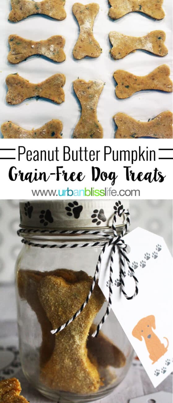 Grain free peanut outlet butter dog treats recipe