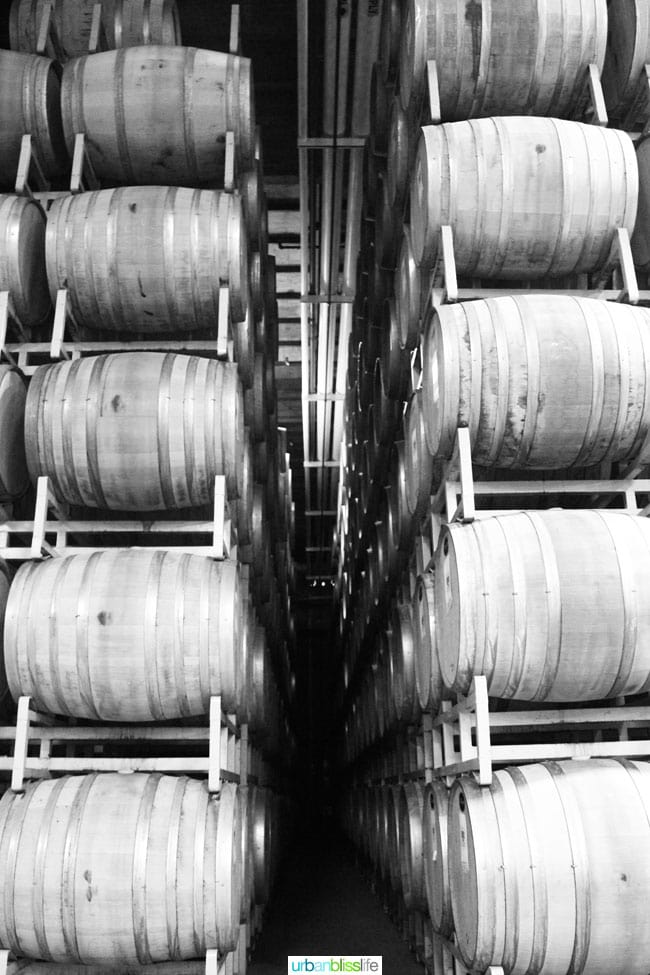 black and white photo of barrels stacked in wine barrel room.