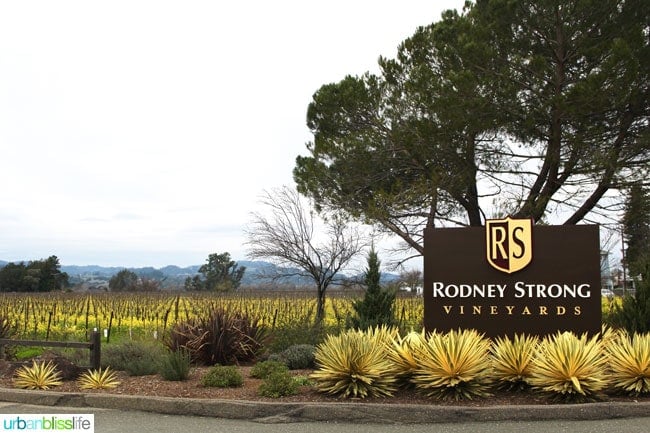 Rodney Strong vineyards