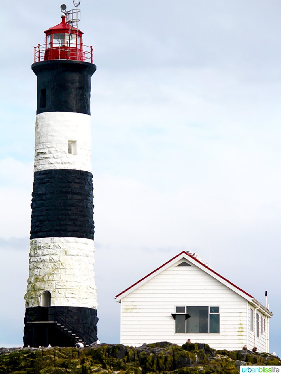 lighthouse in victoria, bc