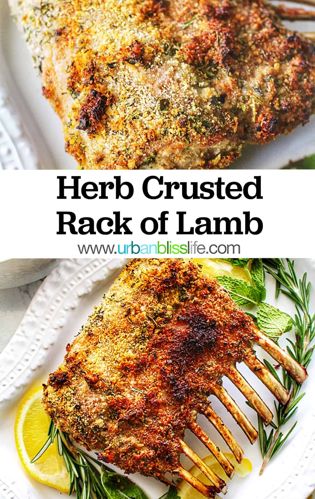 Herb Crusted Rack of Lamb recipe - Urban Bliss Life