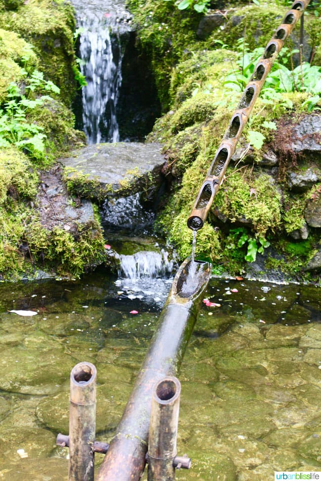 water feature at butchart gardens