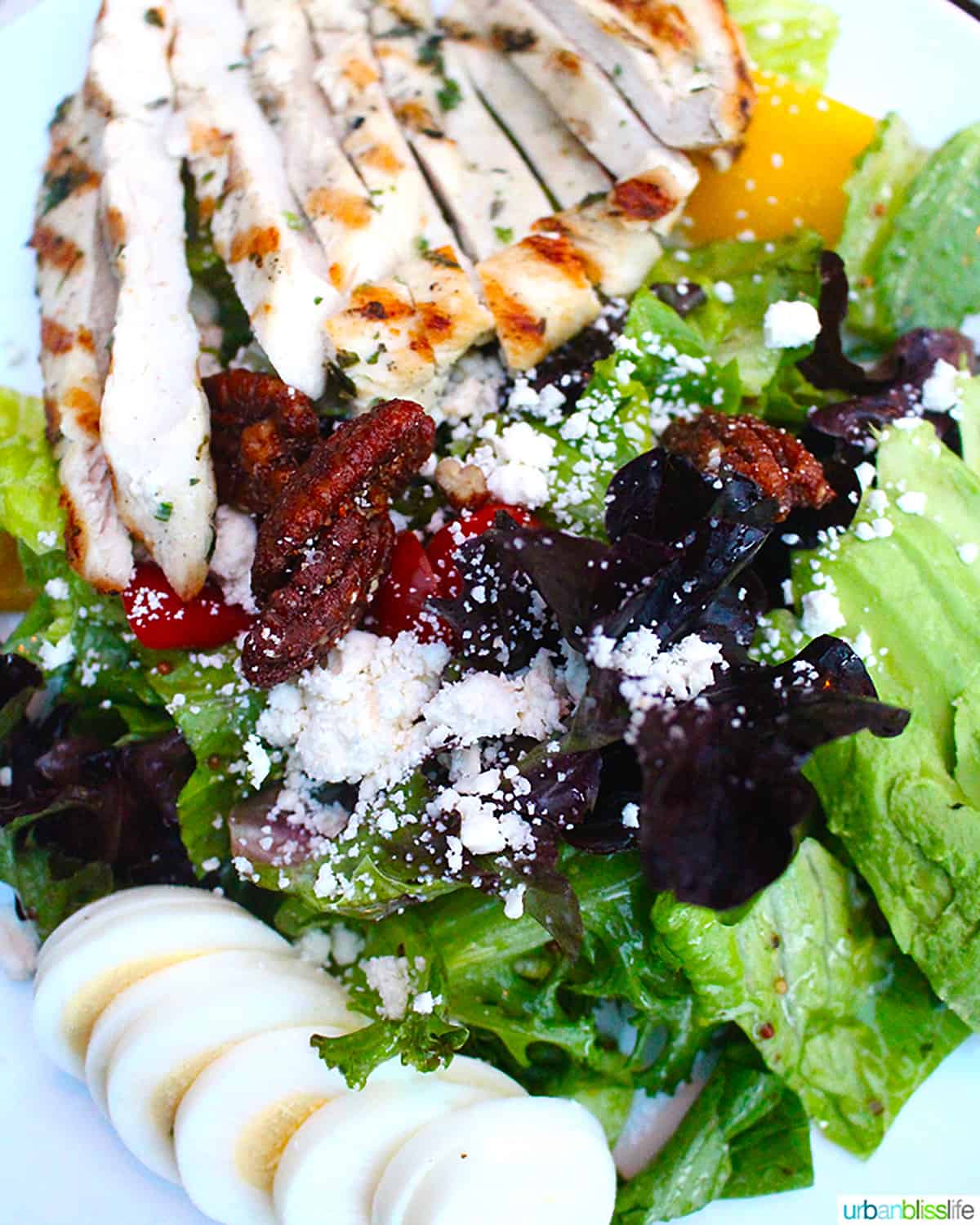 cobb salad at Cactus Club Cafe Coal Harbour Vancouver BC.