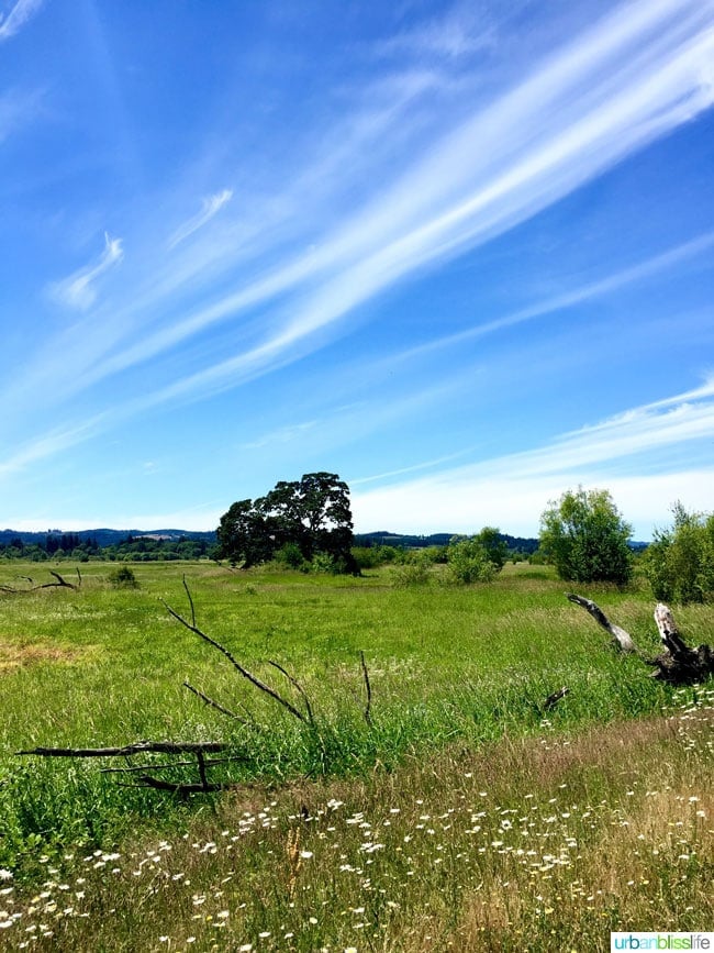 Travel to Tualatin River National Wildlife Refuge on UrbanBlissLife.com