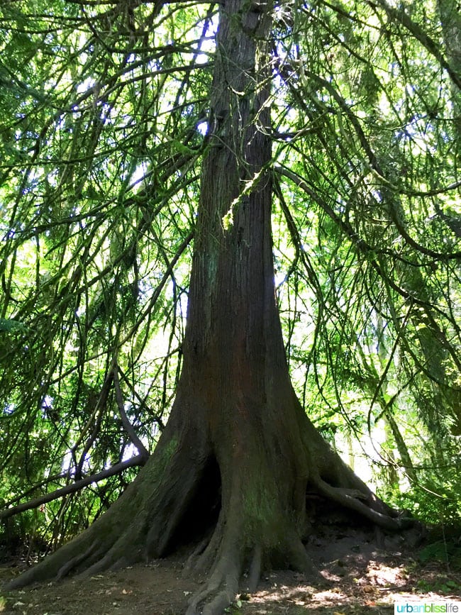 Travel to Tualatin River National Wildlife Refuge on UrbanBlissLife.com