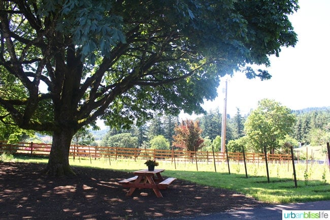 Hazelfern Cellars is a new, family-owned winery with amazing Syrah, Pinot Noir, and Rosé in Oregon Wine Country - details on UrbanBlissLife.com