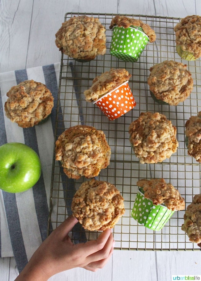 The BEST Apple Cinnamon Muffins (made healthier with carrots and zucchini!) recipe on UrbanBlissLife.com