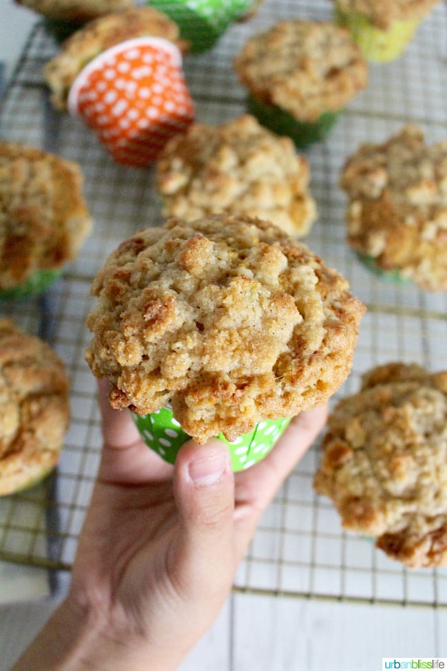 The BEST Apple Cinnamon Muffins (made healthier with carrots and zucchini!) recipe on UrbanBlissLife.com