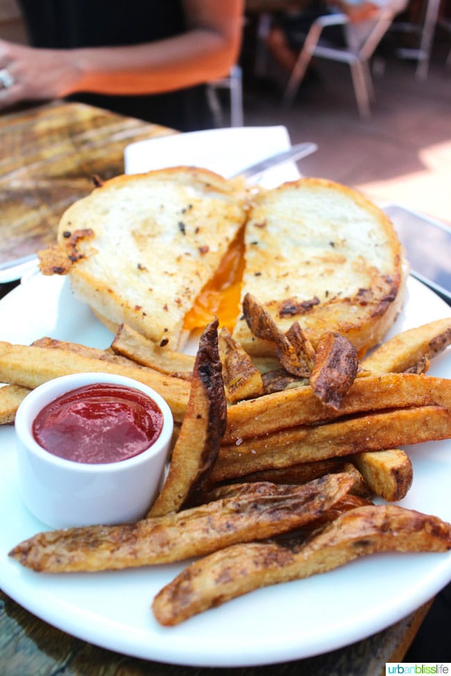 Grilled cheese and fries at Silver Star Cafe