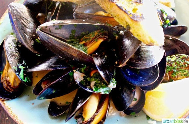 Mussels at Tupelo restaurant