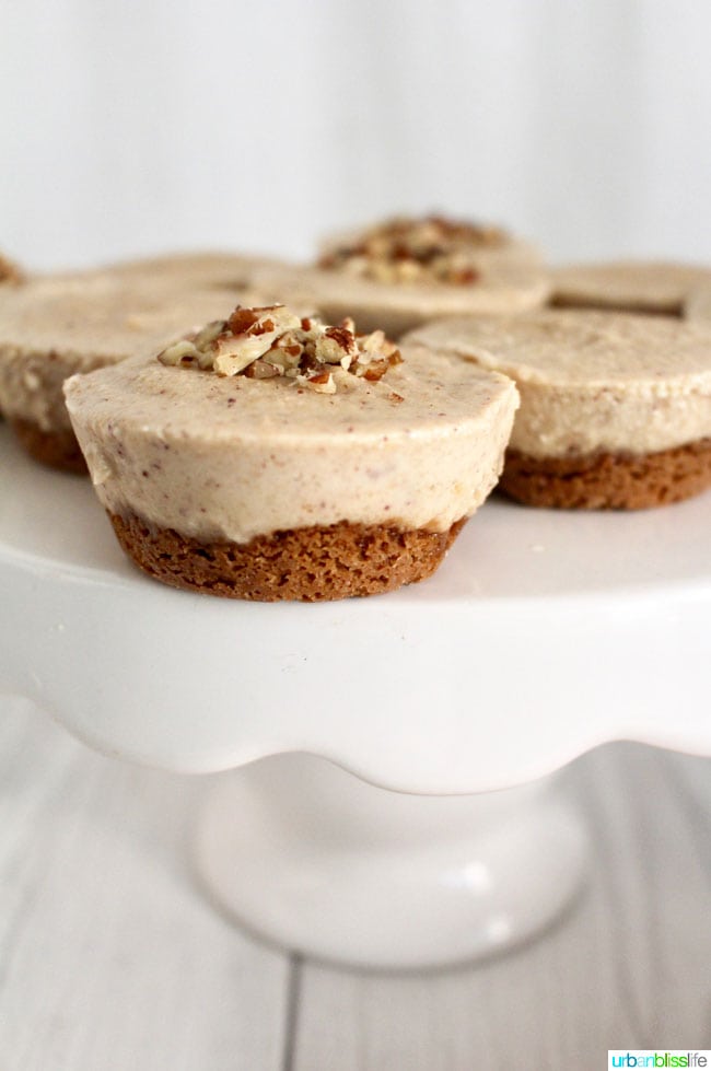 closeup of several nutty vegan cheesecake bites on a white cake platter, topped with chopped nuts.