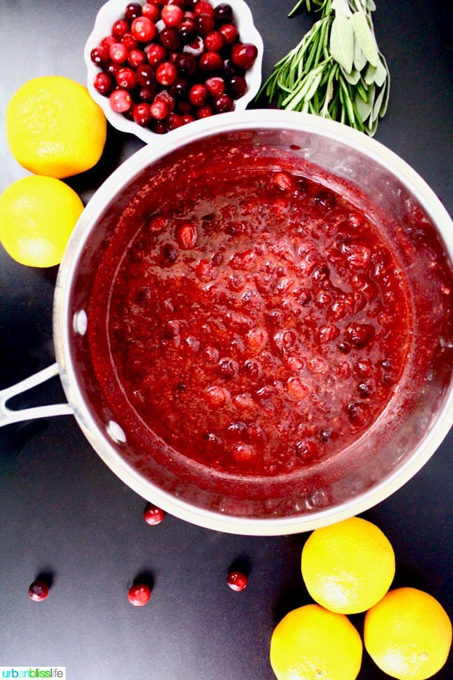 Cranberry Raspberry Orange Glaze Game Hens recipe & giveaway on UrbanBlissLife.com