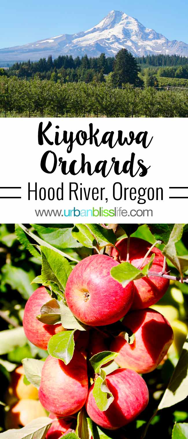 Kiyokawa Family Orchards in Hood River, Oregon. UrbanBlissLife.com